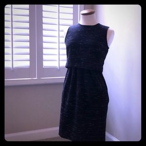 Ann Taylor Little Black Dress.
